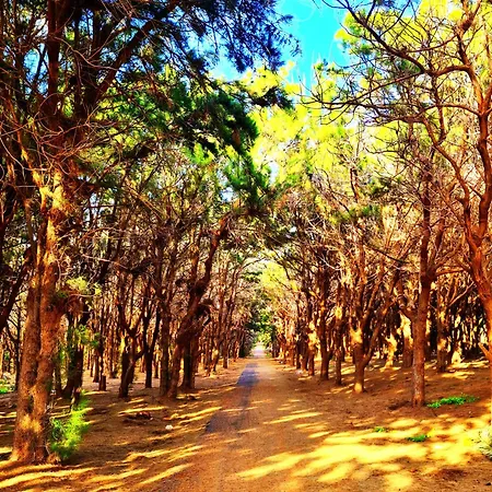 Casa Del Capitan Lejlighed *