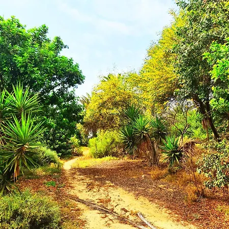 Daire Casa Del Capitan *